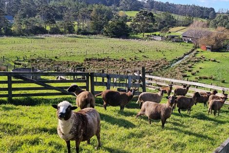 Photo of property in 384 Pine Valley Road, Dairy Flat, Silverdale, 0992