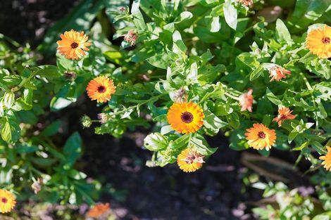 Photo of property in 17 Dal Din Drive, Otaki, 5512