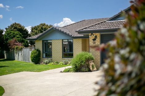 Photo of property in 14 Watkins Road, Cambridge, 3434