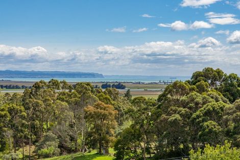 Photo of property in 164 Puketitiri Road, Poraiti, Napier, 4182