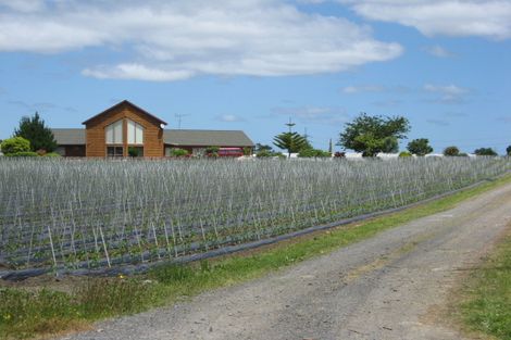 Photo of property in 395 Fitzgerald Road, Drury, 2577