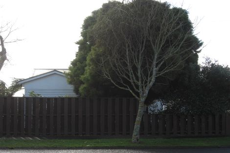 Photo of property in 87 Cook Street, Hamilton East, Hamilton, 3216