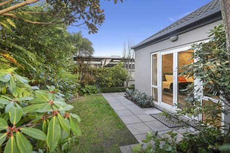 Photo of property in 7 Douglas Street, Lincoln, 7608