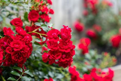 Photo of property in 8 Neaptide Close, Red Beach, 0932