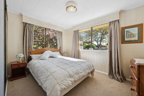 Photo of property in 45 Leefield Street, Blenheim, 7201