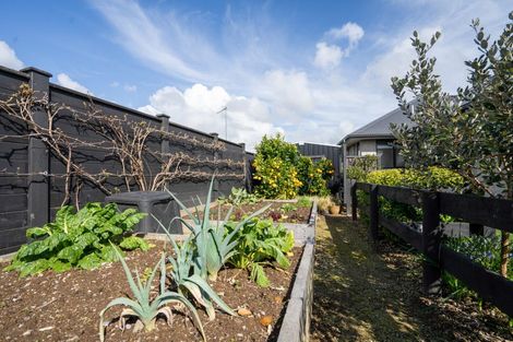 Photo of property in 44 Terry Came Drive, Cambridge, 3434