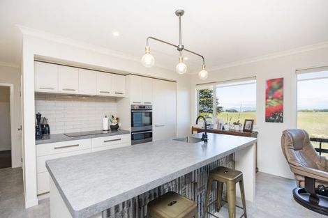 Photo of property in 60 Beechwood Road, Feilding, 4779