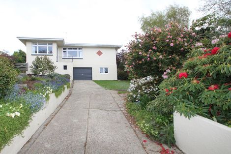 Photo of property in 14 Solway Street, Holmes Hill, Oamaru, 9401