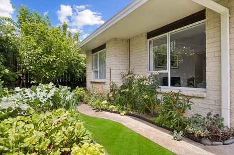 Photo of property in 9b Edinburgh Street, Pukekohe, 2120