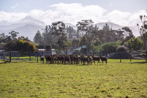 Photo of property in 707 Norfolk Road, Upper Plain, Carterton, 5791