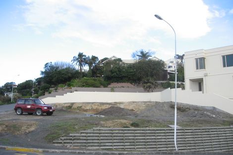 Photo of property in 21a Seapoint Road, Bluff Hill, Napier, 4110