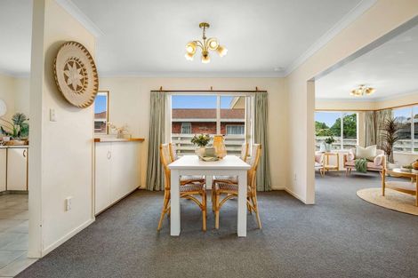 Photo of property in 19 Shelley Street, Otumoetai, Tauranga, 3110