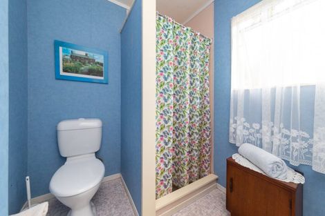 Photo of property in 197 Oxford Street, Ashhurst, 4810