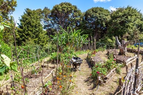 Photo of property in 480 Driving Creek Road, Coromandel, 3506