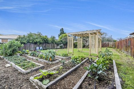 Photo of property in 216 Fox Street, Hamilton East, Hamilton, 3216