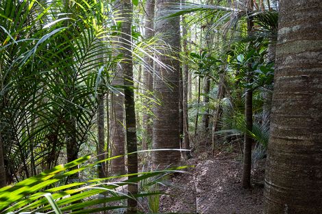 Photo of property in 71 Schollum Road, Big Omaha, Warkworth, 0985