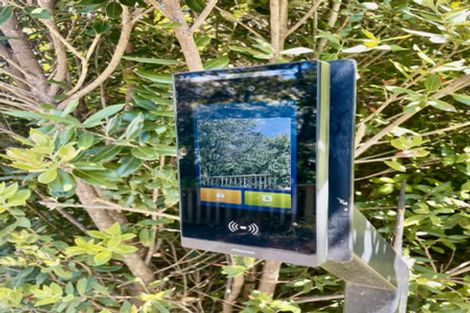 Photo of property in 26 Maire Road, Orewa, 0931