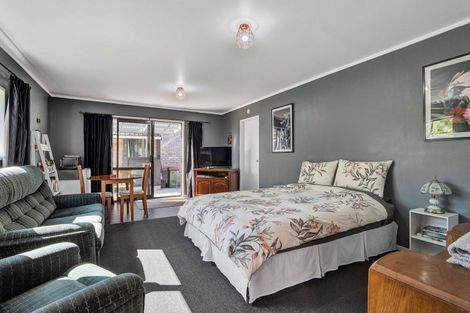 Photo of property in 15 Brecon Road, Stratford, 4332