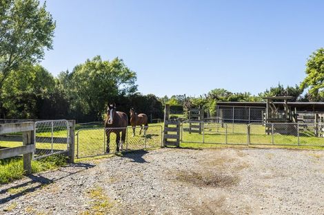 Photo of property in 303 Mill Road, Ohoka, Kaiapoi, 7692