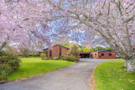 Photo of property in 256 Kaipaki Road, Ohaupo, 3881