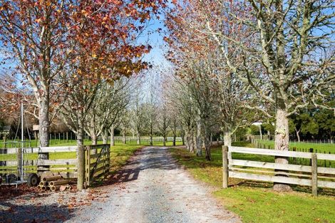 Photo of property in 31 Ward Road, Matakana, Warkworth, 0985