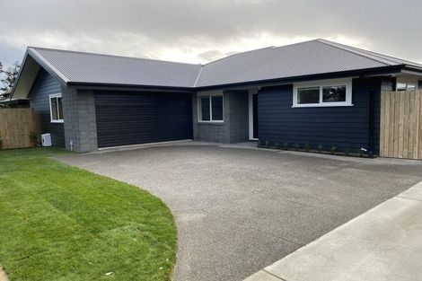 Photo of property in 99a Linton Street, West End, Palmerston North, 4410