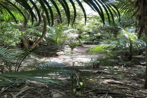 Photo of property in 28 Hobson Street, Maeroa, Hamilton, 3200