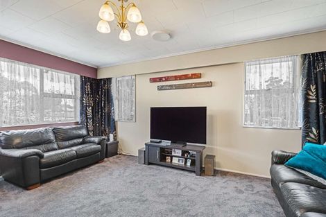 Photo of property in 134 Stanford Street North, Ashhurst, 4810