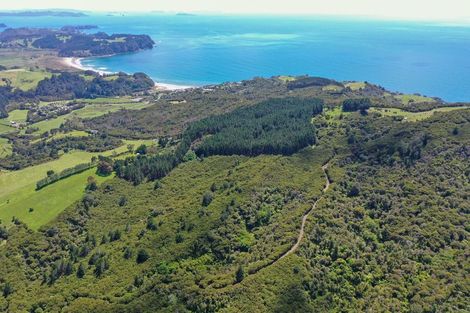 Photo of property in 425m Boat Harbour Road, Whenuakite, Whitianga, 3591