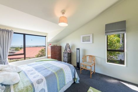 Photo of property in 3 Barrington Place, Richmond, 7020