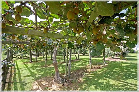 Photo of property in 1071 Queen Street East, Levin, 5510