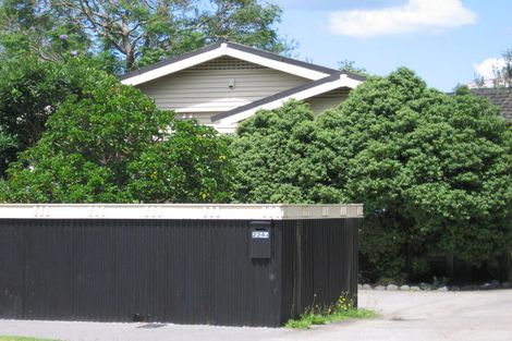 Photo of property in 222 Rosebank Road, Avondale, Auckland, 1026