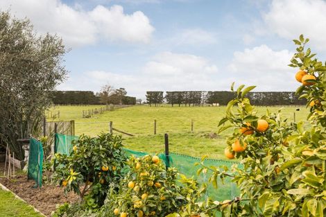 Photo of property in 18 Accolade Street, Maewa, Feilding, 4702