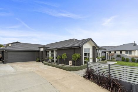 Photo of property in 169 Rowesdale Drive, Ohauiti, Tauranga, 3112