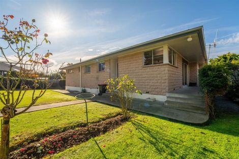 Photo of property in 29 Balmoral Street, Marchwiel, Timaru, 7910