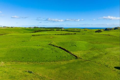 Photo of property in 1000 Redhill Road, Te Kopuru, Dargaville, 0371