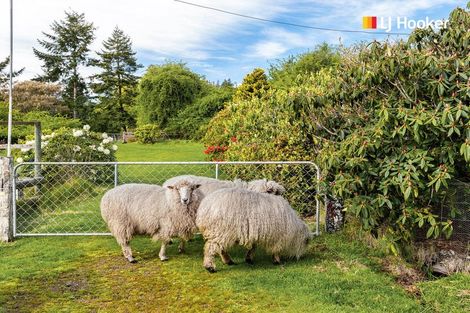 Photo of property in 287 Waikouaiti-waitati Road, Evansdale, Waikouaiti, 9471