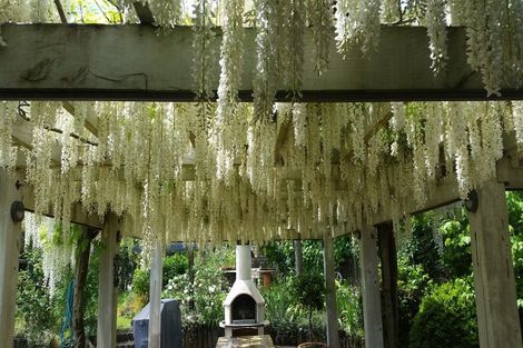 Photo of property in 308 Brown Road, Te Puke, 3188