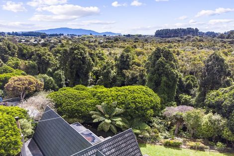 Photo of property in 79 Belvedere Avenue, Waikanae, 5036