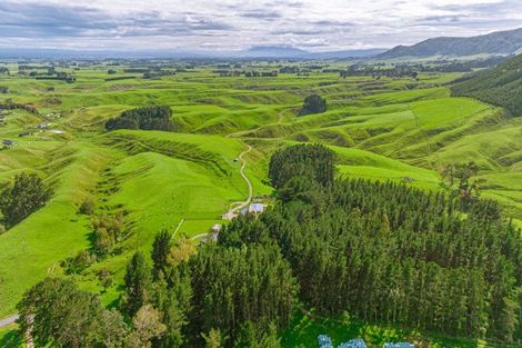 Photo of property in 157 Williams Road, Muriwai, Gisborne, 4072