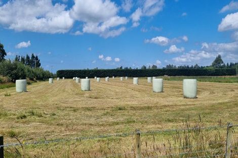 Photo of property in 479 Mcjarrows Road, Oxford, 7430