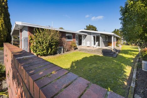 Photo of property in 12 Trewin Street, Feilding, 4702