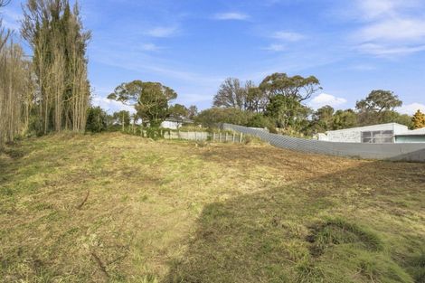 Photo of property in 14b Ahuru Street, Marton, 4710