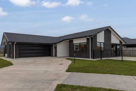 Photo of property in 79 Hinemoa Street, Levin, 5510