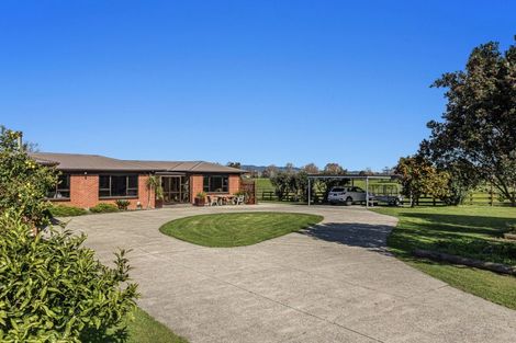 Photo of property in 97 East Bank Road, Edgecumbe, Whakatane, 3193