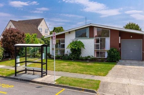Photo of property in 21 Ida Street, Redwoodtown, Blenheim, 7201