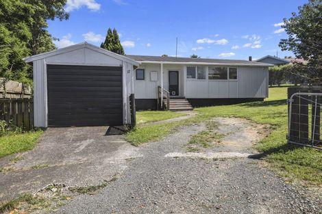 Photo of property in 17 Thornton Street, Putaruru, 3411