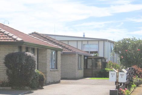 Photo of property in 111 Chapel Street, Otumoetai, Tauranga, 3110