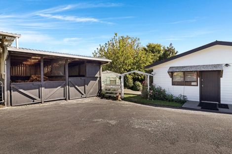 Photo of property in 274 Hot Springs Road, Tahawai, Katikati, 3178