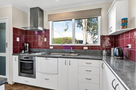 Photo of property in 15 Leon Place, Waitara, 4320